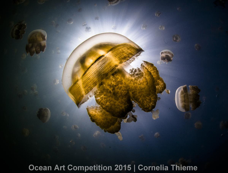 Illustration for article titled These Photos Show the Alien Beauty of Life Underwater